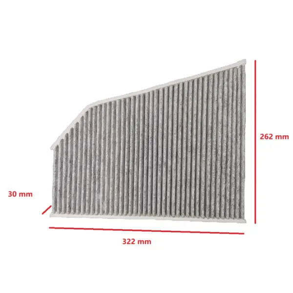 Carbon Air Filter TESLA MODEL X 1039042 2016-2021 - Image 2