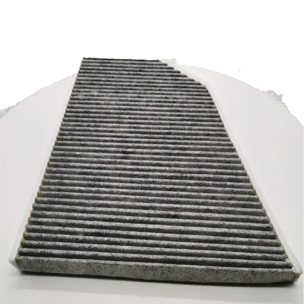 Carbon Air Filter TESLA MODEL X 1039042 2016-2021 - Image 5